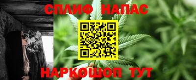 крисы Ставрополь