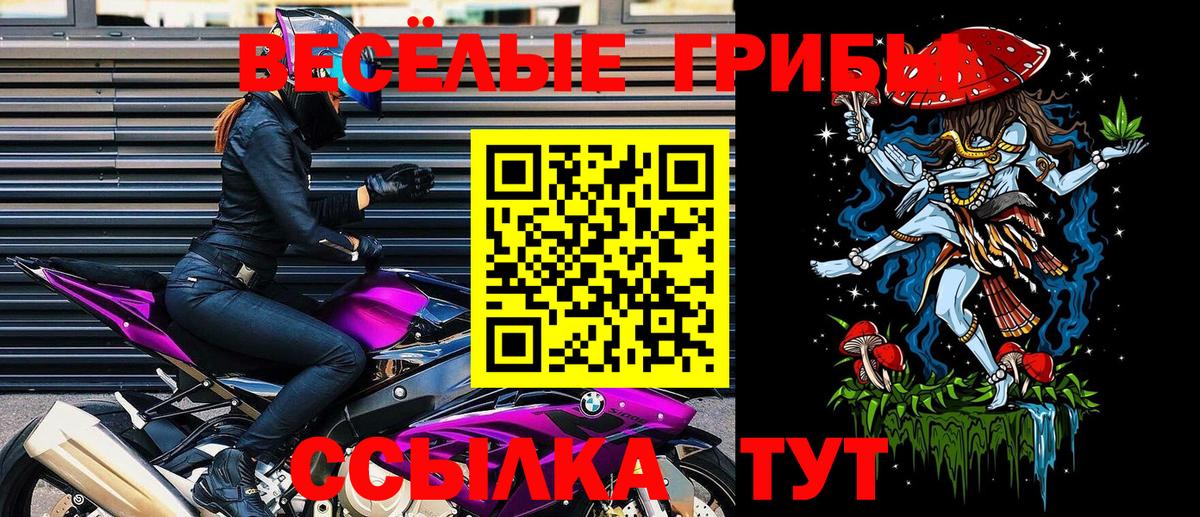Псилоцибиновые грибы мухоморы Новочеркасск