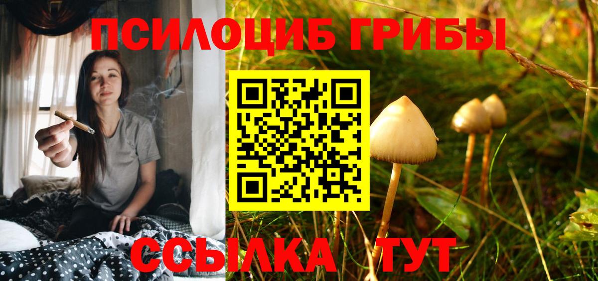 Галлюциногенные грибы Cubensis  Галлюциногенные грибы прущие грибы  Вход с VPN  Новочеркасск 